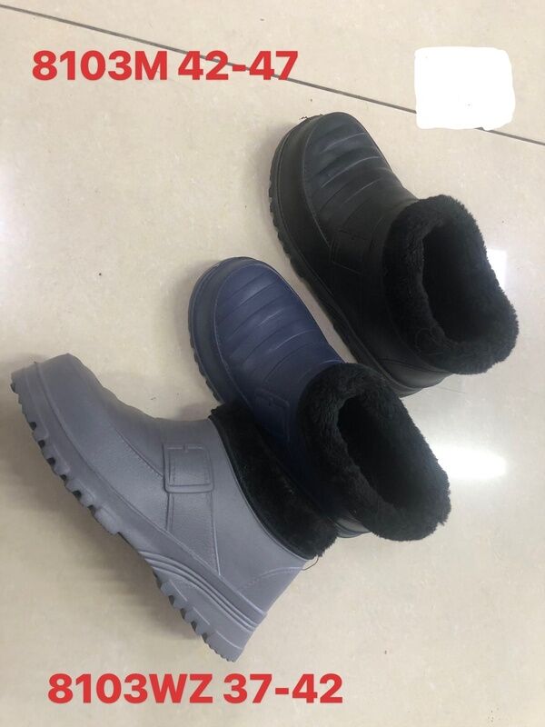 8103WZ